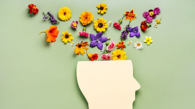mental health quiz questions