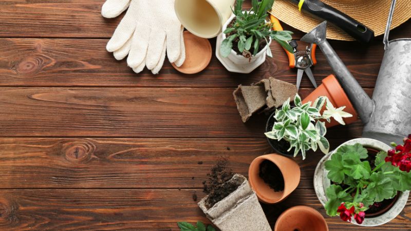 gardening quiz questions and answers