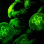 biology quiz questions
